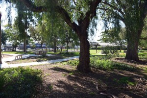 Spaulding Vista Park View